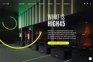 重庆引序科技 专业网站建设，助力企业数字化转型