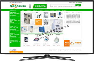 专业闵行网站建设与设计 一站式网络解决方案